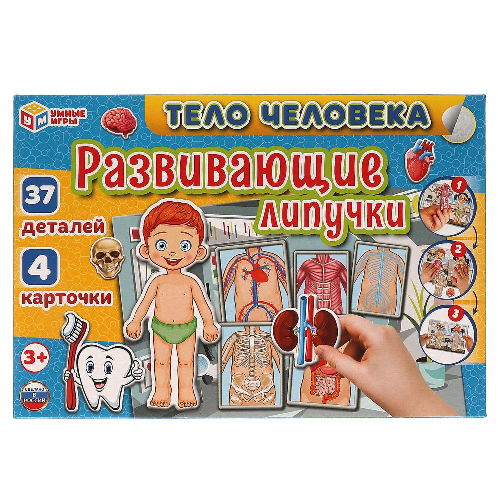 Тело человека. Игра с липучками в коробке. Умные игры