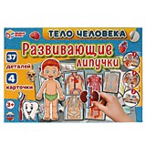 Тело человека. Игра с липучками в коробке. Умные игры